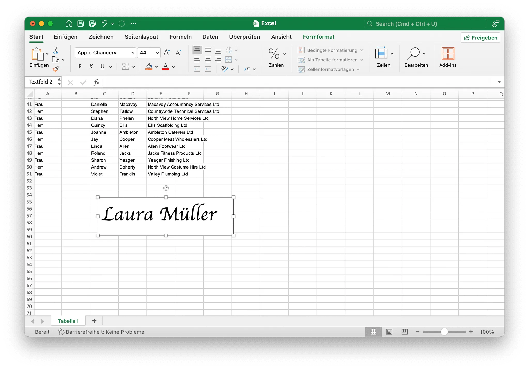 Namen als Unterschrift in ein Excel-Textfeld tippen