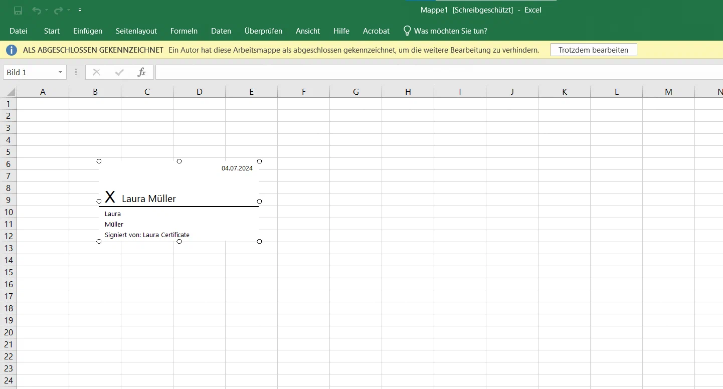 Unterschriebene Signaturzeile in einer Excel-Arbeitsmappe