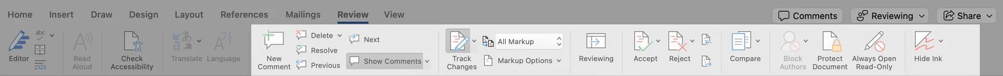 Optionen im Überprüfen-Panel in MS Word auf dem Mac