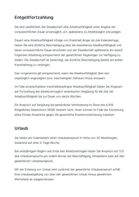 Template screenshot 3