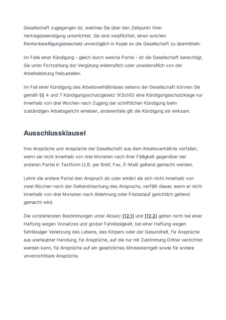 Template screenshot 8