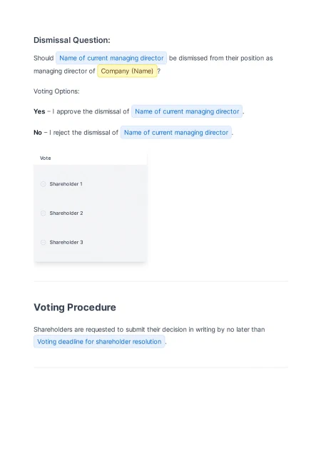Template screenshot 3