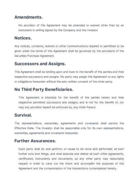 Template screenshot 2
