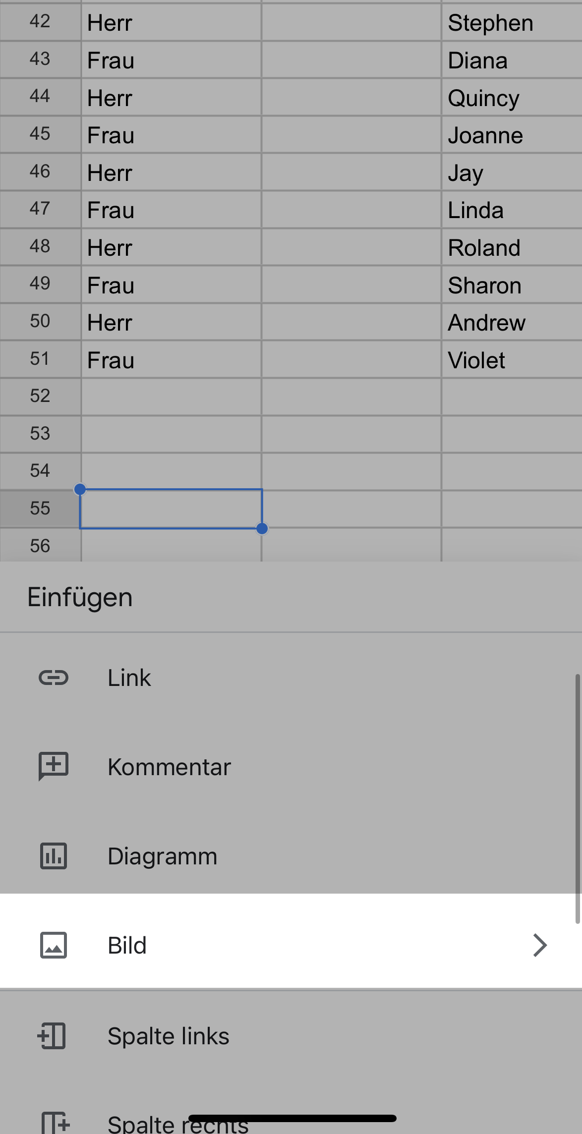 Bild Option in Google Sheets iPhone