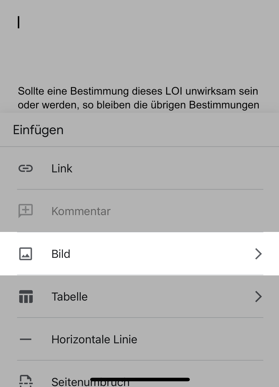 Einfügeoption in Google Docs App iPhone