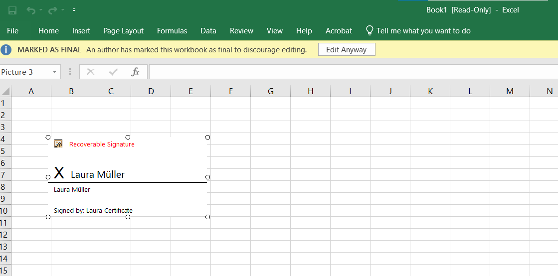 electronic signature example in excel