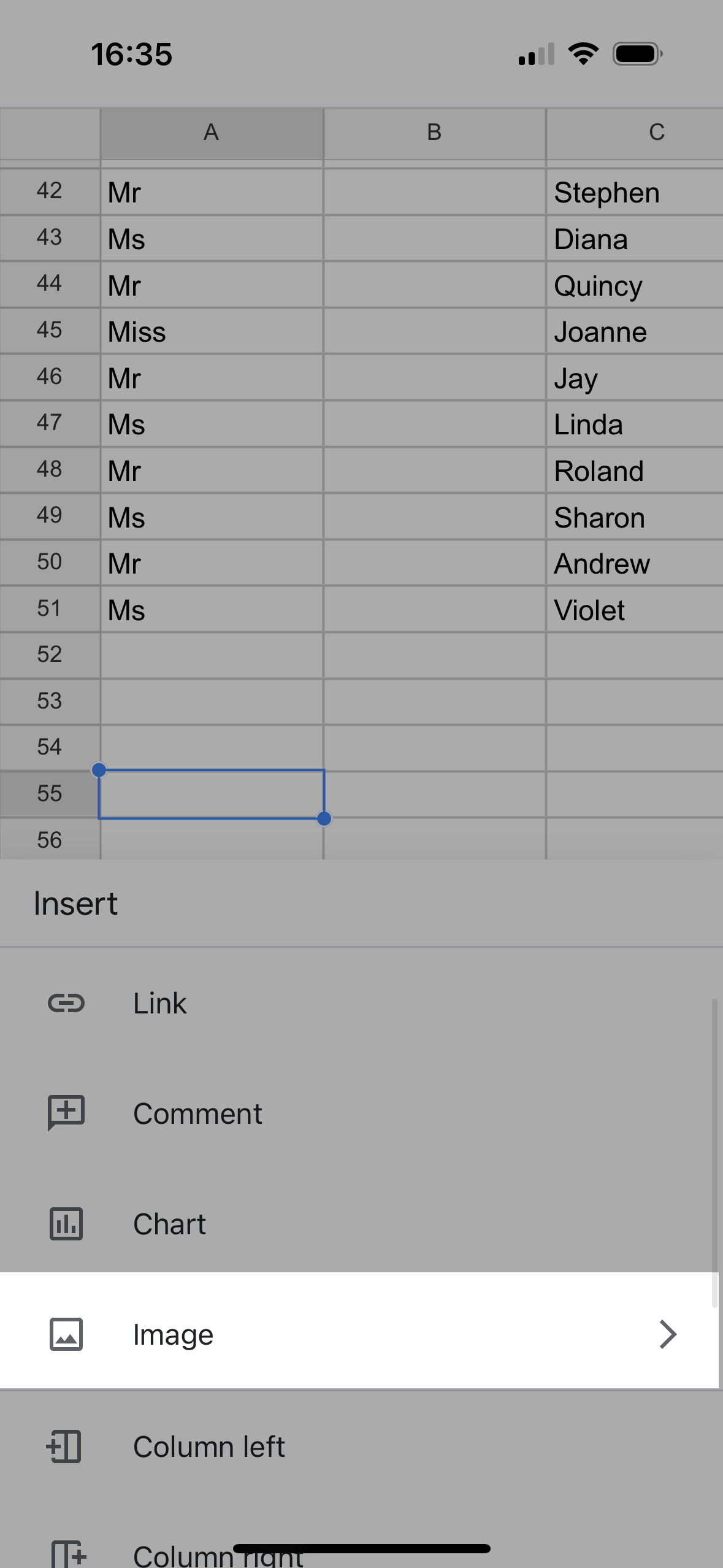 image option in google sheets iphone