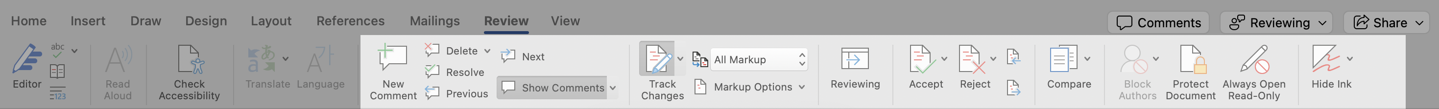Review panel in MS Word in mac